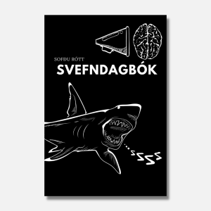 gömul svefndagbók mu