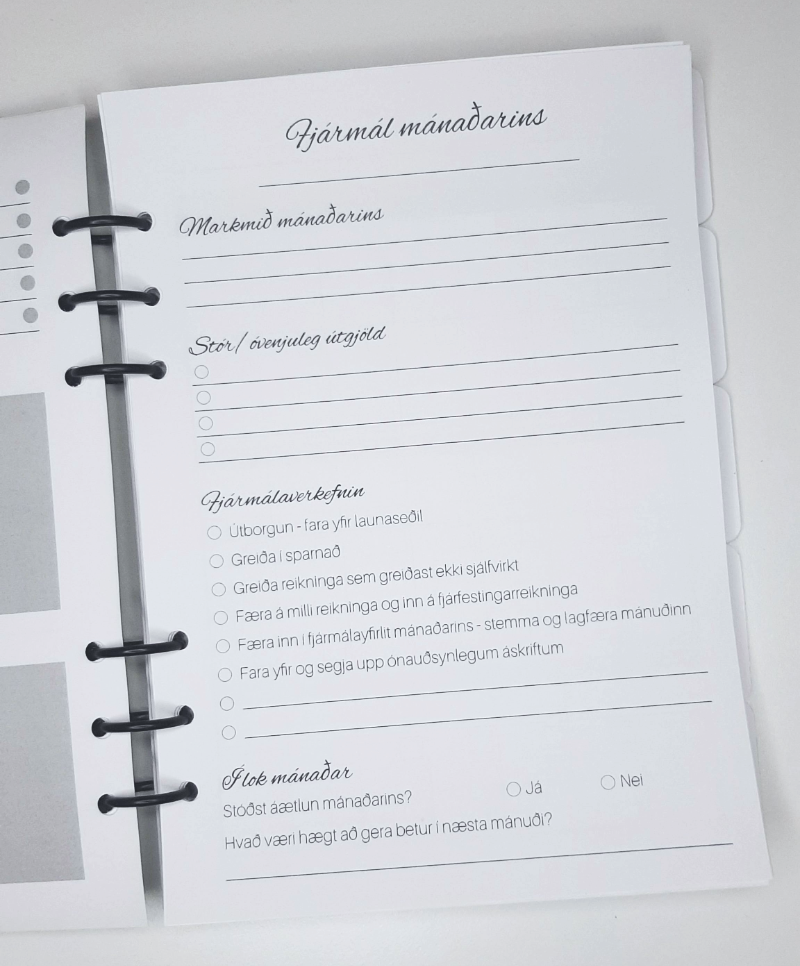 myndir fyrir heimasíðu Ögn icelandic 62